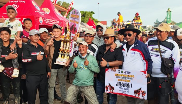 H. Rosi dan Sapi “Tak Mau Dimadu” Ukir Prestasi Gemilang di Ajang Kerapan Sapi Sumenep 2025 dan Sabet Juara