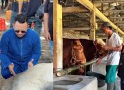 Tak Hanya Satu Sapi Jumbo 1,05 Ton u tuk Bunda Ainun, Founder BIP Ali Zainal Abidin Tebar Kurban Besar yang Menyentuh Hati ke 13 Kecamatan hingga Berbagai Daerah