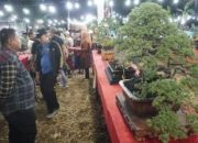 Dandim Sumenep Buka Kontes Bonsai se-Jatim, Perkuat Sinergi Lewat Seni Tanaman