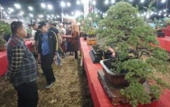 Dandim Sumenep Buka Kontes Bonsai se-Jatim, Perkuat Sinergi Lewat Seni Tanaman