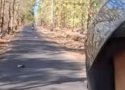 Dari Jalan Berlubang Jadi Mulus, Wajah Pembangunan Kepulauan Sumenep Mulai Berubah